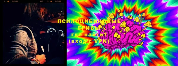 герыч Алексин