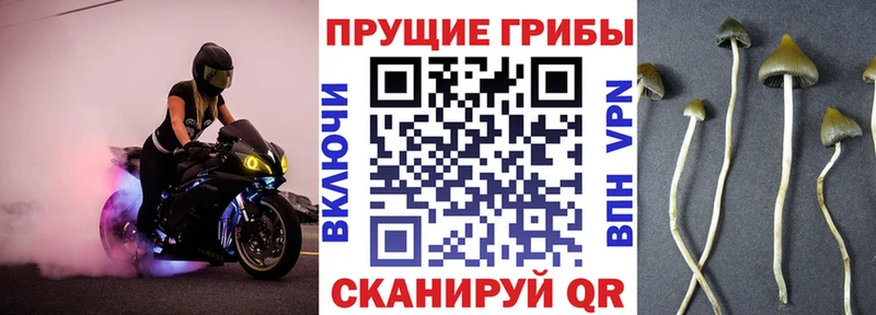 Галлюциногенные грибы мицелий  как найти закладки  KRAKEN сайт  Спасск-Рязанский 